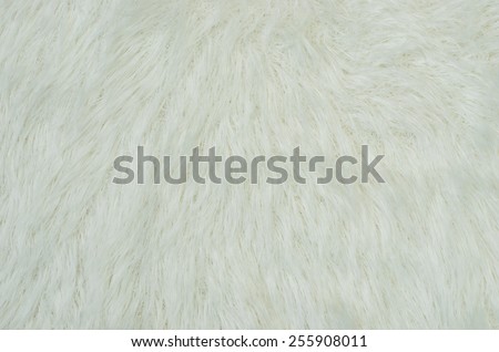 Fluffy white fur. Close up on white fur as background.