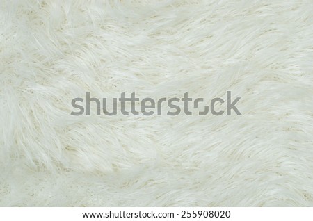 Fluffy white fur. Close up on white fur as background.