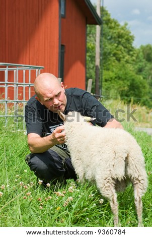 stock-photo-man-cuddle-with-sheep-9360784.jpg