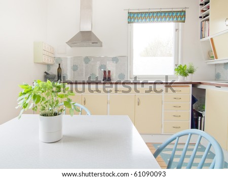 interior of vintage kitchen and a table with basil in the foreground
