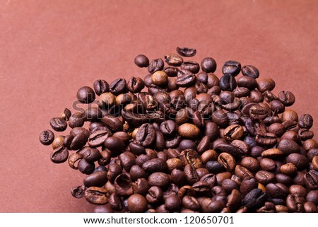 Coffee beans closeup on pastel background