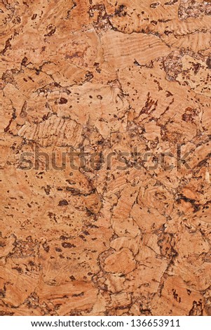 cork texture. cork background. Closeup
