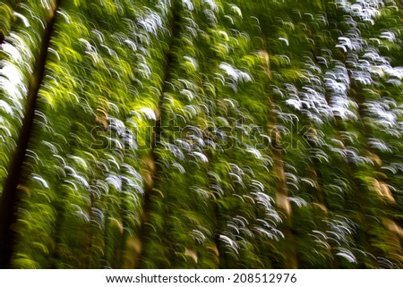 [Obrazek: stock-photo-green-forest-208512976.jpg]