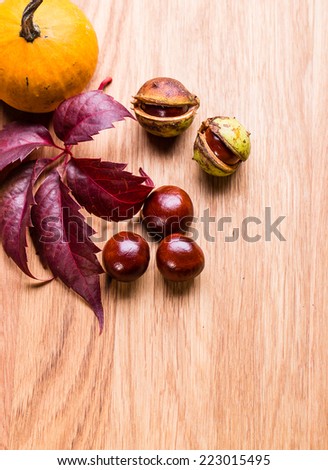 Decorative autumn border with chestnuts