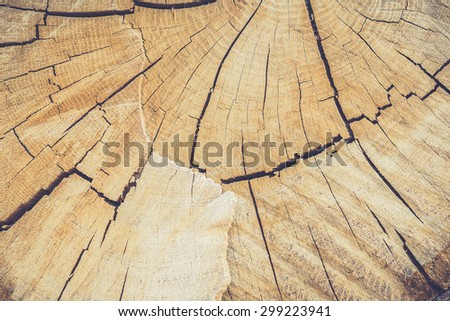 Dark wood texture. Abstract background