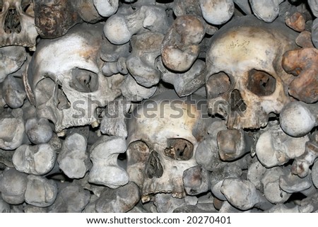 Skulls and bones in a charnel-house