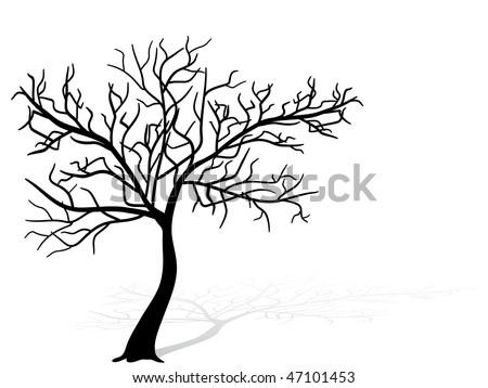 tree silhouette pictures. tree silhouette - vector