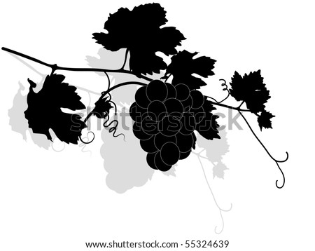 Black Vine Leaves - Vector Illustration - 55324639 : Shutterstock