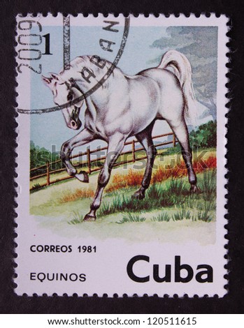 CUBA - CIRCA 1981: A stamp printed in Cuba shows white horse gentle walking on the green grass, with wooden force on the background, circa  1981.