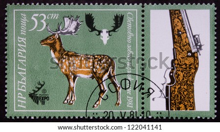 BULGARIA - CIRCA 1981: A stamp printed in Bulgaria shows a deer and gun, circa 1981.