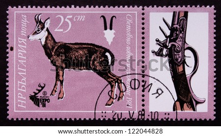 BULGARIA - CIRCA 1981: A stamp printed in Bulgaria shows a antelope and gun, circa 1981.
