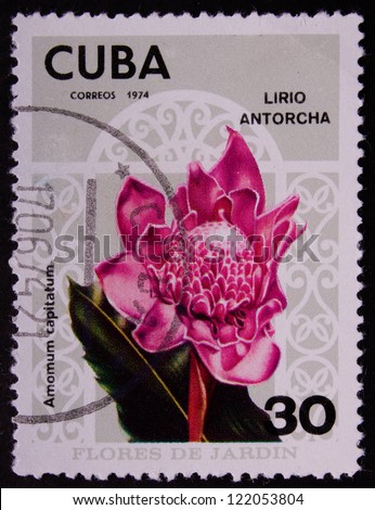 CUBA - CIRCA 1974: A stamp printed in CUBA shows a pink torch lily, circa 1974.