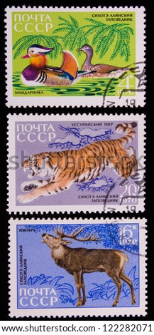 USSR - CIRCA 1970: A stamp printed in USSR shows animals, circa 1970.