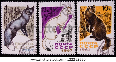 USSR - CIRCA 1967: A stamp printed in USSR shows animals, circa 1967.