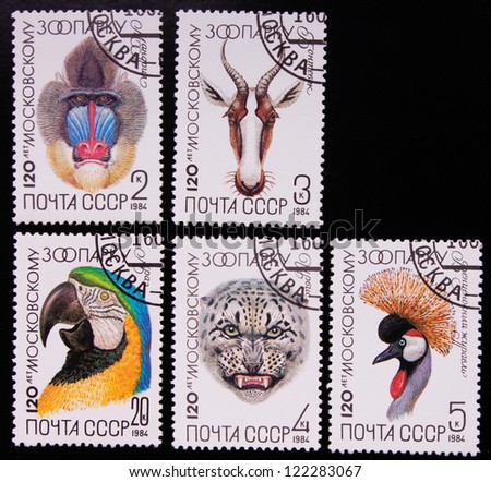 USSR- CIRCA 1984: A stamp printed in USSR shows animals, circa 1984.