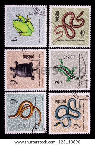 POLAND - CIRCA 1963: A stamp printed in Poland shows three kinds of snakes,a turtle and a frog,circa 1963