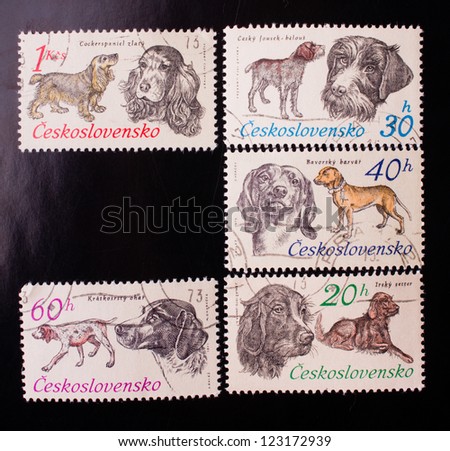 CZECHOSLOVAKIA - CIRCA 1973: A stamp printed in Czechoslovakia shows five kinds and colors of dogs , circa 1973.