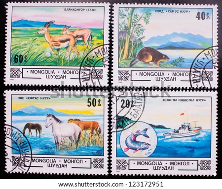MONGOLIA - CIRCA 1982: A stamp printed in Mongolia shows two animals in the fields and two animals in the water , circa 1982.