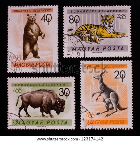 HUNGARY - CIRCA 1961: A stamp printed in Hungary shows the wild animals of the Budapest zoo,circa 1961