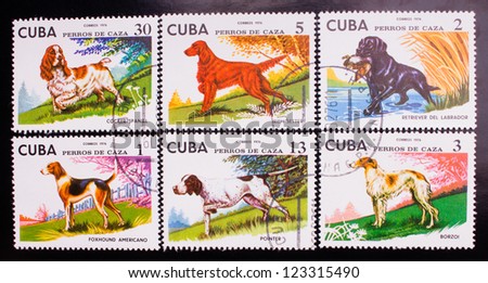 CUBA - CIRCA 1976: A stamp printed in Cuba shows six kinds of colorful dogs in the yard, circa 1976.