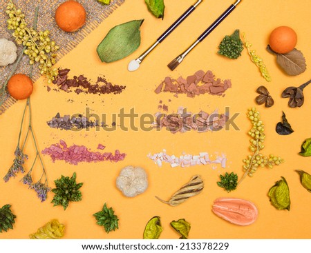 Autumn makeup concept: varicolored crushed compact eyeshadow with makeup brush and applicator in frame of variety of dried plants on yellow background