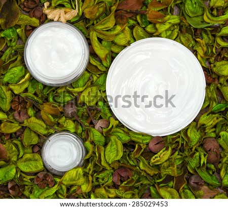 Natural skin care products surrounded by dry yellowish green leaves. Close-up of three open jars filled with cream. Organic cosmetics for women. Top view