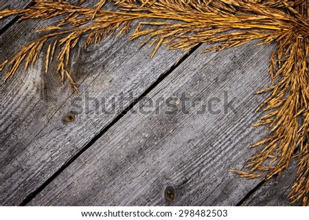 Autumn frame of dried grass on old wooden planks. Natural background