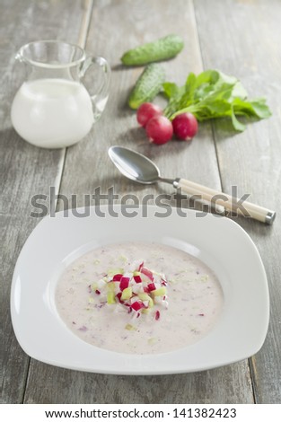 Milk soup with radish and cucumber in white plate on the table