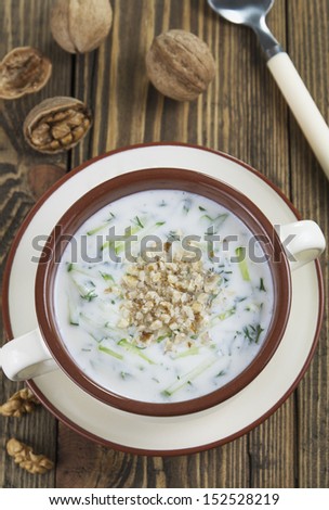 Tarator, bulgarian sour milk soup in the  bowl