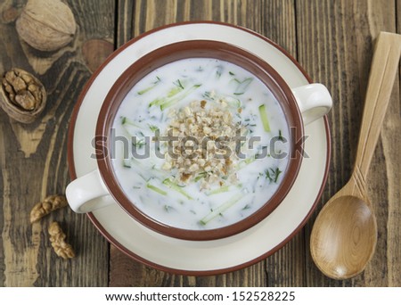 Tarator, bulgarian sour milk soup in the  bowl
