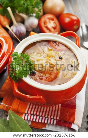 Cabbage soup with meat. Russian traditional dish