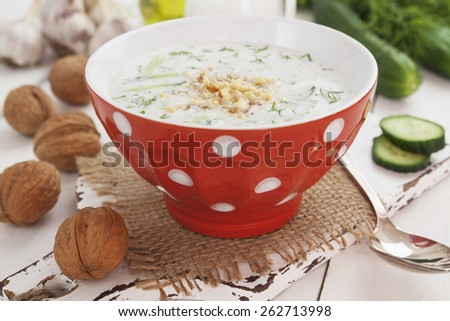 Tarator, bulgarian sour milk soup in the bowl