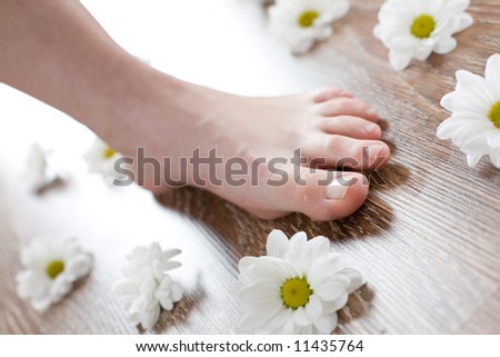 Female foot on the dark floorboard and white daisies.