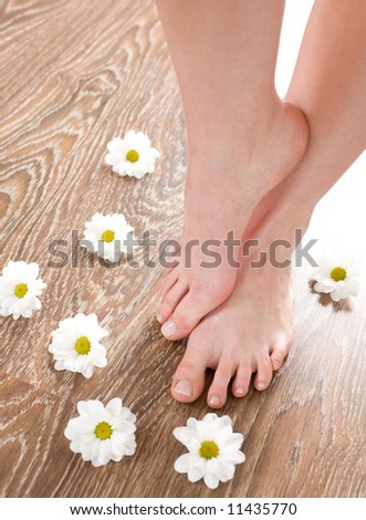 Female feet on the dark floorboard with white daisies around.