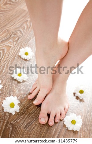 Beautiful feet on the dark floorboard with white daisies around.