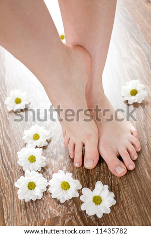 Female feet on the dark floorboard with white daisies around.