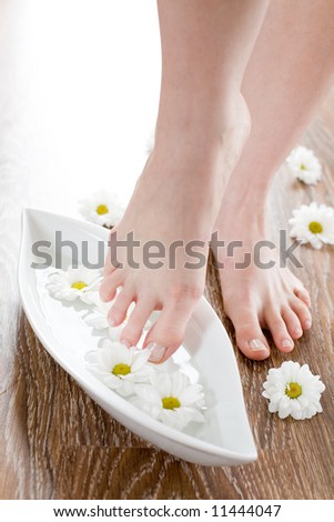 Spa treatment with fresh white daisies / Female feet on the dark floorboard.