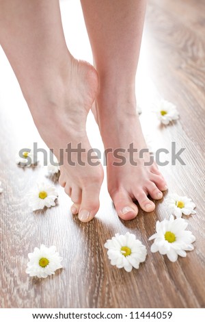 Beautiful feet on the dark floorboard with white daisies around.
