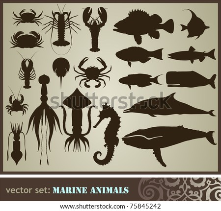 Marine Animals Set Stock Vector Illustration 75845242 : Shutterstock