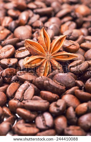 The anisetree lying in the scattered arabica coffee grains, the isolated image nobody.