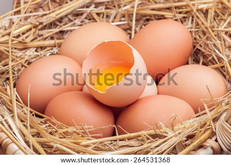 Eggs in hay, crude eggs and one broken egg with a yolk.