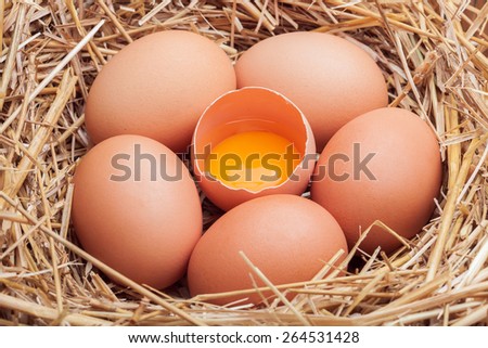 Eggs in hay, crude eggs and one broken egg with a yolk.