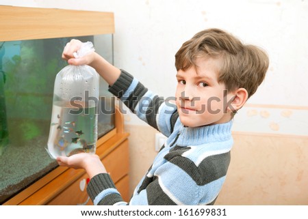 The boy is going to lets out fishes in an aquarium