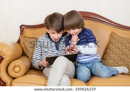 Two brothers play on touchscreen PC