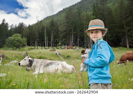 the little boy looks at cow on a green meadow