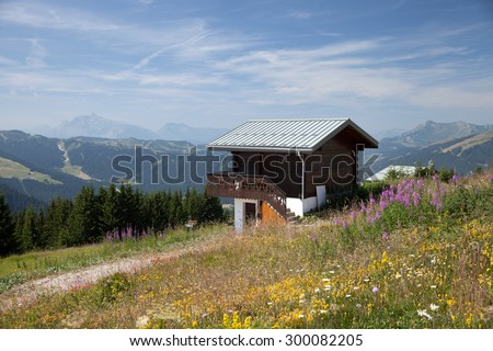 The wooden house in french Alps near from Avoriaz
