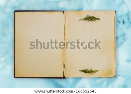 Old open book on winter background