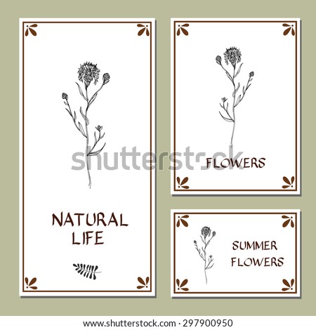 Hand-sketched templates with wildflowers, grasses, leaves and decorative elements.  Eco, wood, nature, health, natural, seasons. Suitable for ads, invitations, signboards, business  card