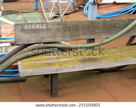 An old park bench with the name George written on it / A bench for George