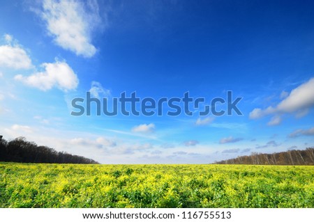 Horizontal Wide angle blue sky with flower meadow Yasnaya Polyana Lev Nikolayevich Tolstoy\'s home town, tula, russia.